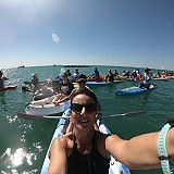 Bayaroma supports local events - Paddle out for Whales
